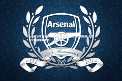 九游娱乐官方平台-美因茨主场告捷力擒沃尔夫斯堡 关键三分提振保级士气